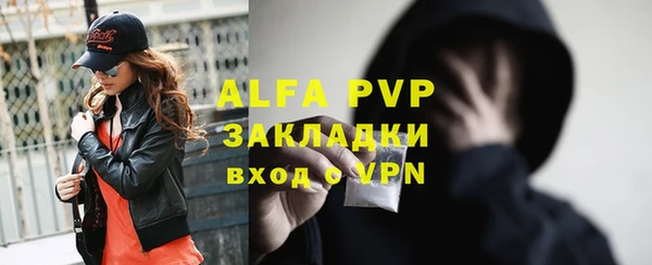 амф Белокуриха
