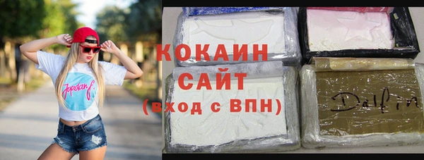 шишки Баксан