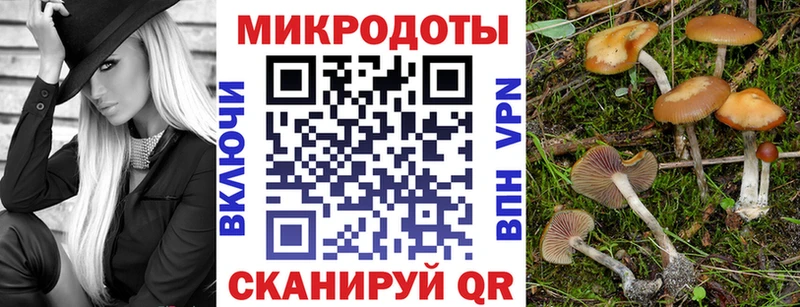 Купить  Навашино  Псилоцибиновые грибы Magic Shrooms 